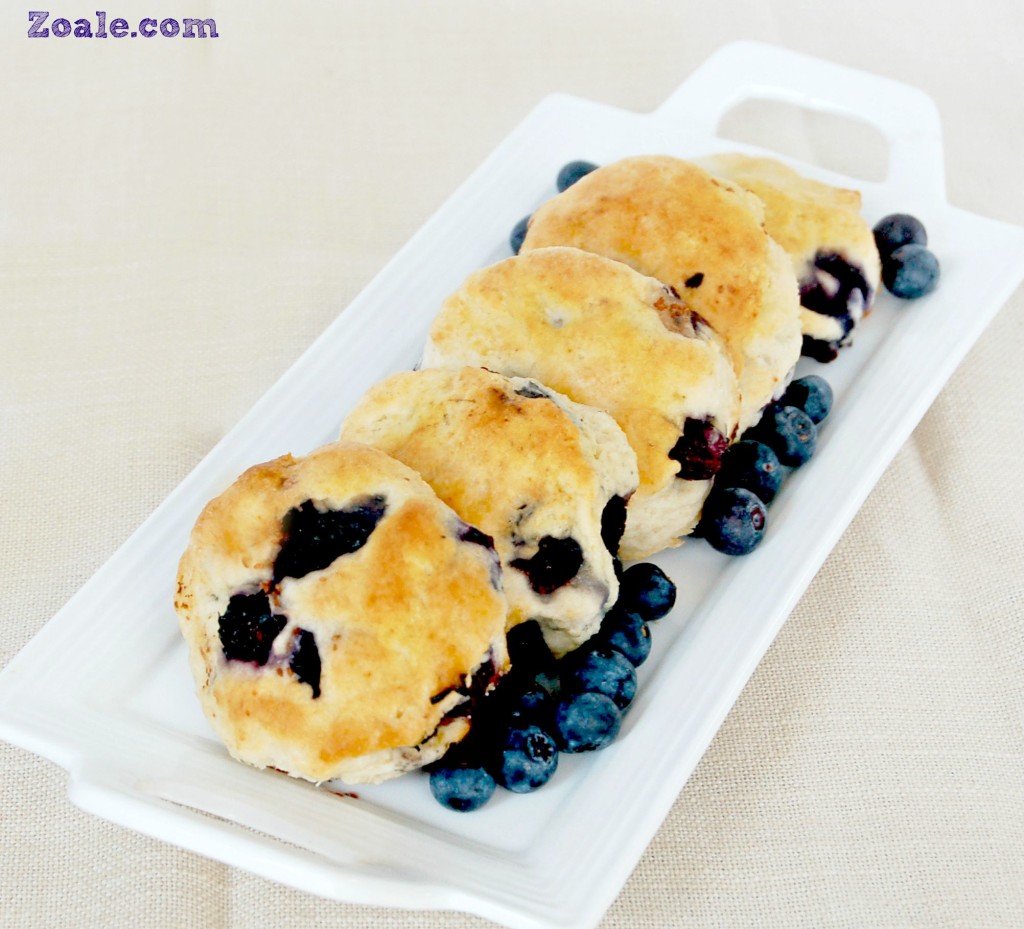 blueberry biscuits 2nd - 1R