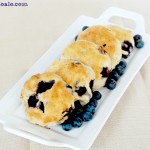 blueberry biscuits 2nd - 1R