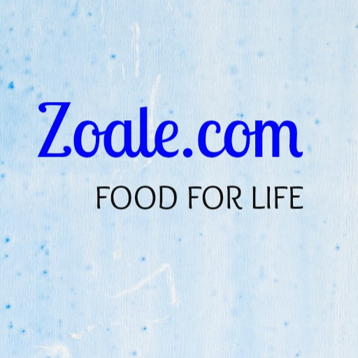 Vegetarian Khao Suey | Zoale Avatar