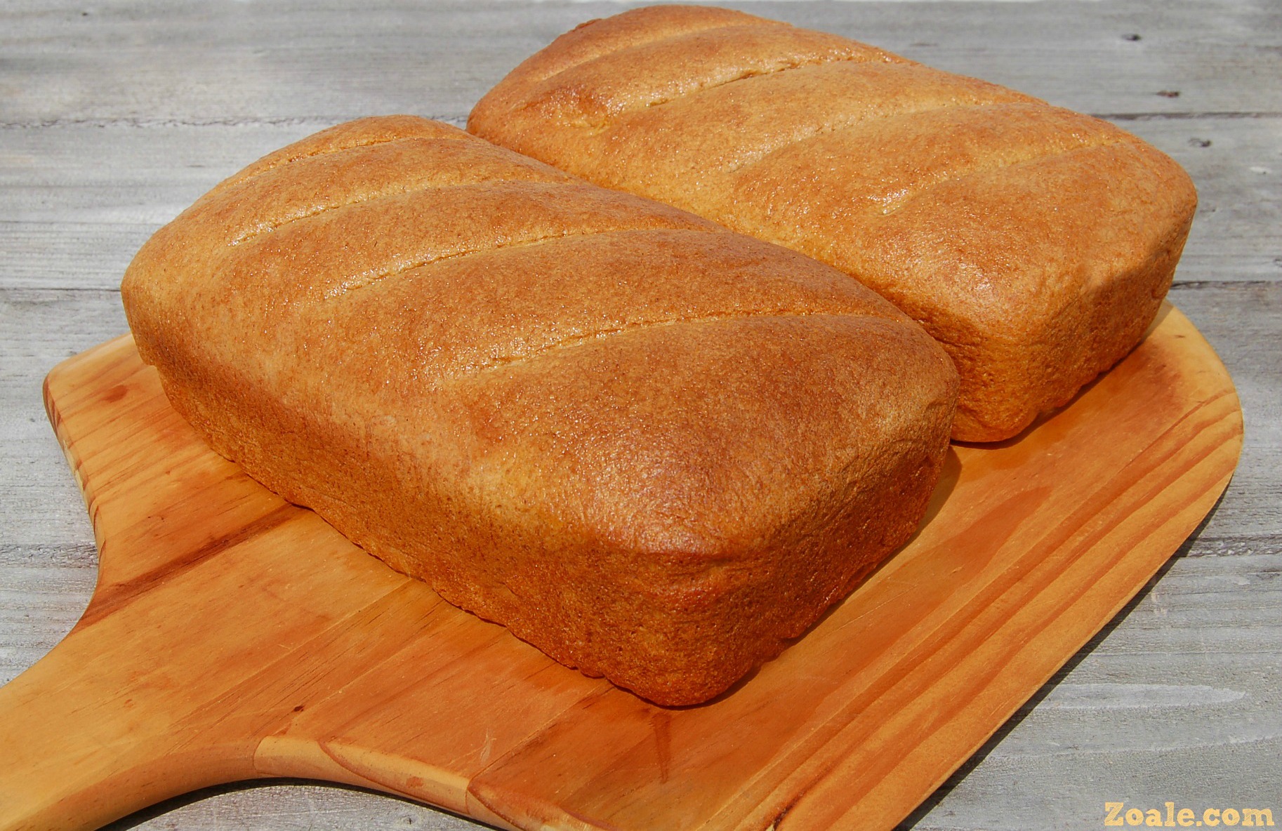Golden Honey Wheat Flax Seed Bread