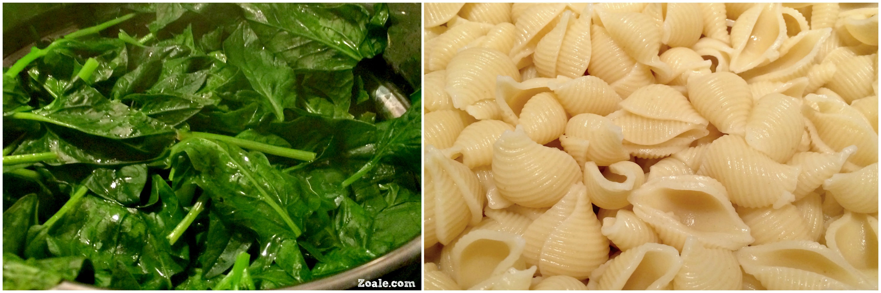 Shells and Spinach | Zoale